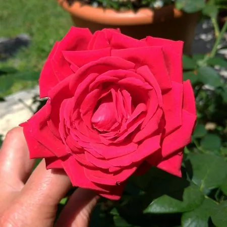 לינה וארוחת בוקר Gemma Di Gallura Charme 4*