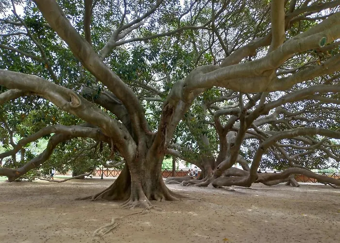 Gemma Di Gallura Charme Bed & Breakfast 4*